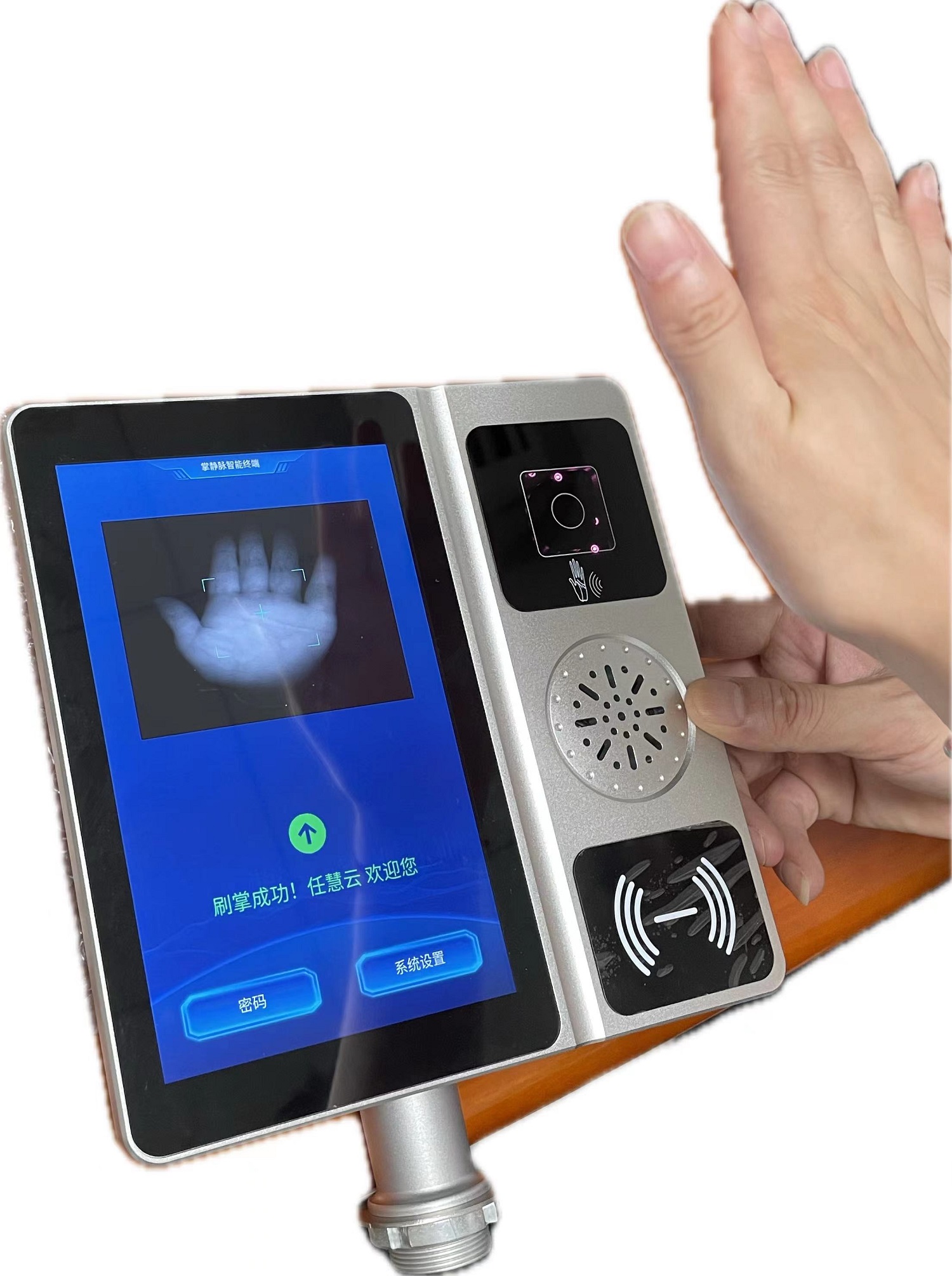 What is palm print recognition? What is its function?